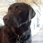 Profile Picture of james spiess (@dallas14444) on Instagram