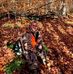 Profile Picture of Jason Springer (@jason.springer.75839) on Facebook