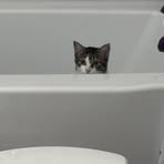 Profile Picture of Joshua Paxton (@joshua.paxton.2025) on Facebook