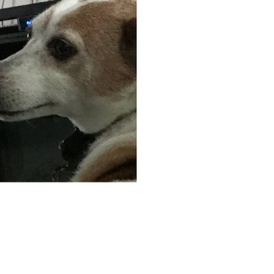 Profile Picture of Derek Kruse (@DerekKruse1) on Twitter