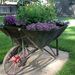 Profile Picture of Linda Buffington (@cabinlady53) on Pinterest