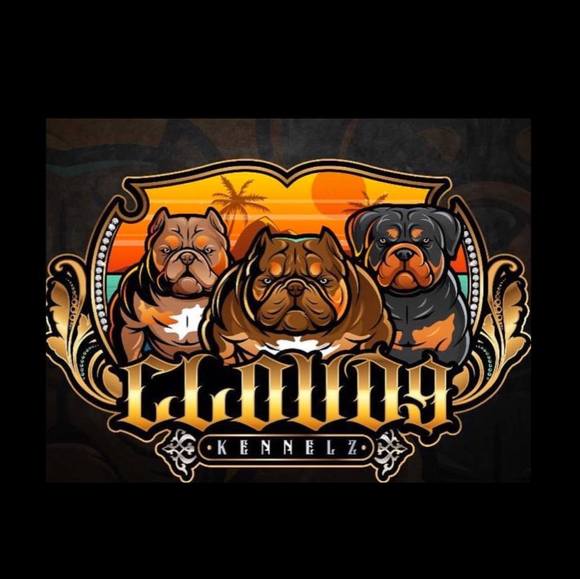 Profile Picture of Andrew Tirado (@andrewtirado) on Poshmark