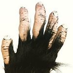 Profile Picture of Andrew Park (@h4iry_h4nd) on Instagram