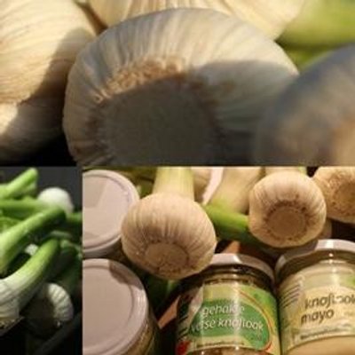 Profile Picture of BiesheuvelKnoflook (@BiesKnoflook) on Twitter