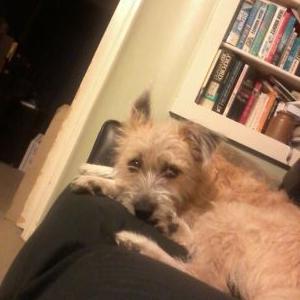 Profile Picture of Tamara Busby (@tamara_busby) on Twitter