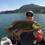 Profile Picture of jason.lanphear (@jason.lanphear) on Instagram