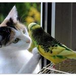 Profile Picture of Tracey Nate (@traceynate20) on Instagram