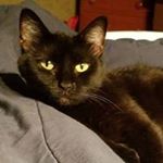 Profile Picture of Kerry Tuttle (@kerryltuttle) on Instagram