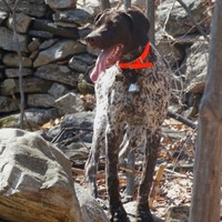 Profile Picture of Catherine Coffey (@catherine-coffey-4) on Quora