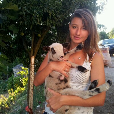 Profile Picture of Sheila Alvarez (@sheilacachi) on Twitter