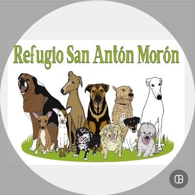 Profile Picture of Amigos De San Antón (@Protectora_SAM) on Twitter