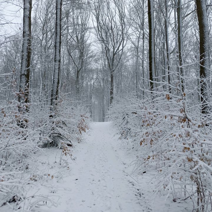 Profile Picture of danielwalkowiak4 (@danielwalkowiak4) on Tiktok