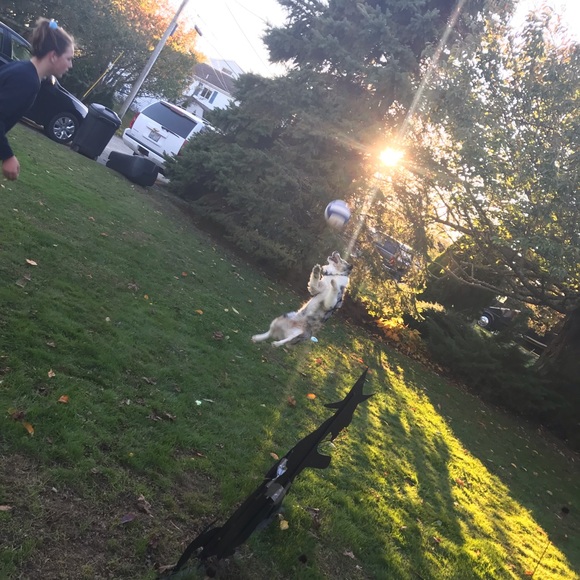 Profile Picture of Gianna Piker (@gpiker_14) on Poshmark