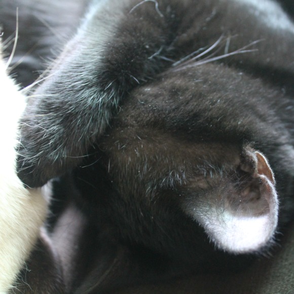 Profile Picture of Jenna Dagle (@charliebear9794) on Poshmark