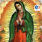 Profile Picture of Roberto Carlos Chenone (@robertocarloschenone) on Instagram