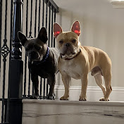 Profile Picture of Kevin Wiens (@kevinwiens4189) on Youtube