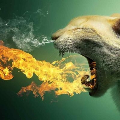 Profile Picture of Jared Liam McClellan (@liam_mcclellan) on Twitter