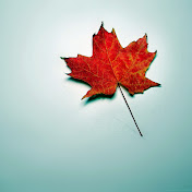 Profile Picture of Brian Sliva (@briansliva3600) on Youtube