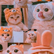 Profile Picture of Alice Carneiro Lima💞 (@edenildescarneirodossantos5199) on Youtube