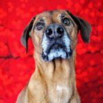 Profile Picture of schoenbauer (@schoenbauer) on Instagram