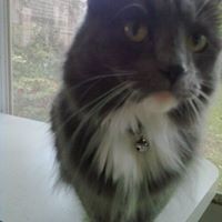 Profile Picture of Cathleen Cassavant (@cathleen-cassavant) on Quora