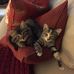 Profile Picture of Diana Simms (@diana.simms.545) on Facebook