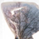 Profile Picture of Anne Pimpim (@anne pimpim) on Flickr