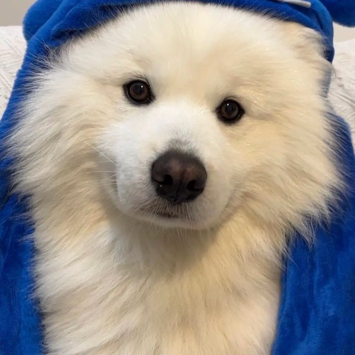 Profile Picture of John Wanted (@john.wanted) on Tiktok
