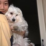 iris xiao - Instagram Profile Picture of iris xiao (@irisyiuxiao) on Instagram