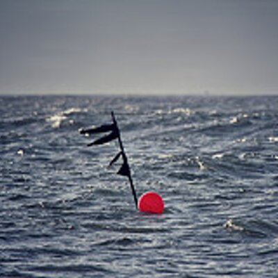 Profile Picture of Terry Fong (@TerFongLook) on Twitter