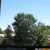 Profile Picture of Andrew Vaughn (@drewdaddy18) on Youtube