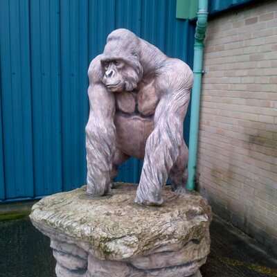 Profile Picture of Jeremy Reeve (@ReeveReeve1) on Twitter