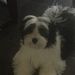 Profile Picture of Candice Floyd (@candyl77) on Pinterest