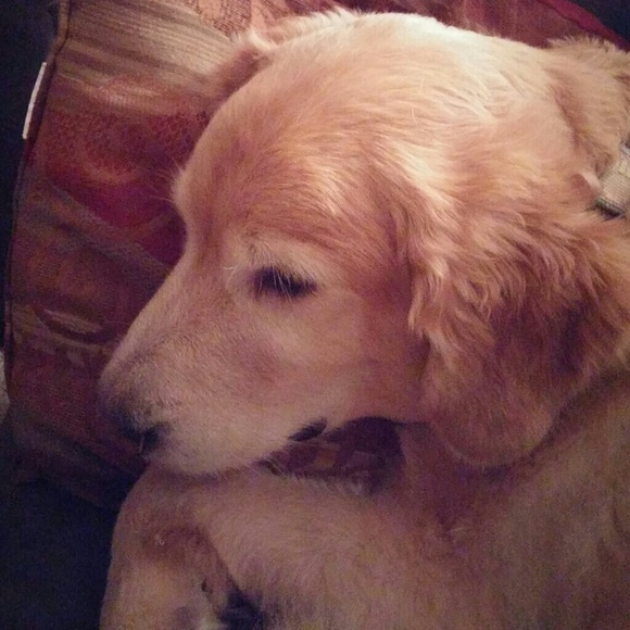 Profile Picture of Paula Petty (@mylife1968) on Poshmark