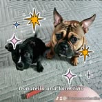 Profile Picture of Florence Miller (@Florence-Miller) on Facebook