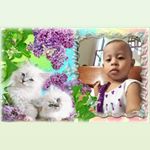 Profile Picture of Alexander Ely (@alexander.ely.39) on Instagram