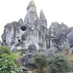 Profile Picture of David König (@david.koenig3) on Instagram