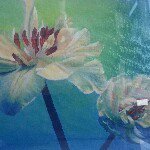 Profile Picture of Consuelo Carlock (@consuelocarlockpaulbettany) on Instagram