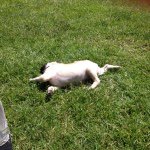 Profile Picture of Matthew Kosinski (@matt110399) on Instagram