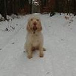 Jim Snodgrass - Instagram Profile Picture of Jim Snodgrass (@snodgrass42249) on Instagram