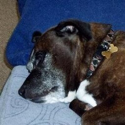 Profile Picture of Bob Sutherland (@bobsutherland4) on Twitter