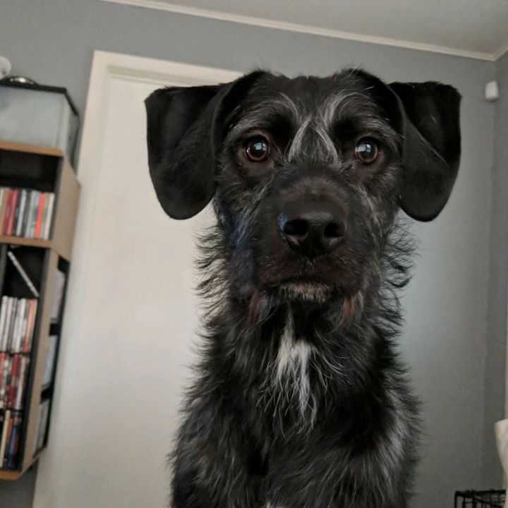 Profile Picture of Michael Hilbert (@michaelhilbert0) on Tiktok