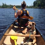 Profile Picture of Jane Lester (@janesuzanne.lester) on Instagram