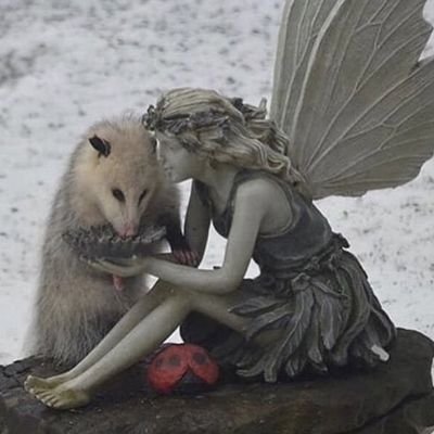 Profile Picture of Oliver Ayers (@Dumbpunk2) on Twitter