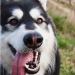 Profile Picture of Alex Novello (@ale9md) on Instagram