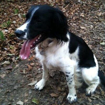 Profile Picture of Andy Legge (@AndyGov) on Twitter