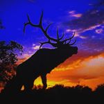 Josh Downard - Instagram Profile Picture of Josh Downard (@antler_finder) on Instagram