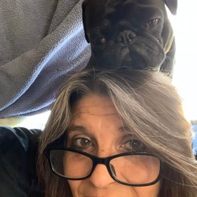 Profile Picture of Robin (@Robinbeeson81) on Twitter