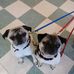 Profile Picture of Marilyn Hiller (@marilyn.hiller.39) on Facebook