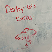 Profile Picture of Darby McLaughlin (@darbymclaughlin2693) on Youtube